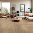 MSI NOVE FALLONTON Luxury Vinyl Planks