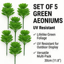 Green Aeoniums Succulent Artificial Topiary Set of 5 11.8in – UV Resistant