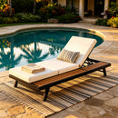 Black Iron + Teak Finish Chaise Lounge Set with Dark Frame