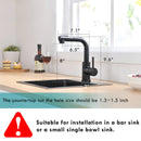 Black Kitchen Sink Faucet with Pull Down Sprayer