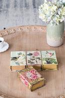 Book Boxes With Birds, Flowers, And Handwriting Design (Set of 4) - Multi by HouseOfZazla