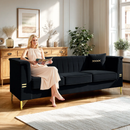 FX-P82-BK2 Modern Velvet 3-Seater Sofa with 2 Pillows by HouseOfZazla