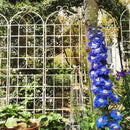 Metal Garden Rustproof Trellis For Climbing Plants Outdoor Flower Support by HouseOfZazla