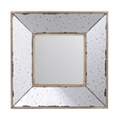 Distressed Accent Mirror, Traditional Style Framed Wall Mirror For Living Room by Unique Piece Furniture