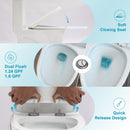 1 Piece Toilet For Bathroom, Dual Flush 1.24 / 1.6 Gpf, Soft Closing Seat - White by HouseOfZazla