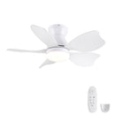 Low Profile Flush Mount Ceiling Fan With Light