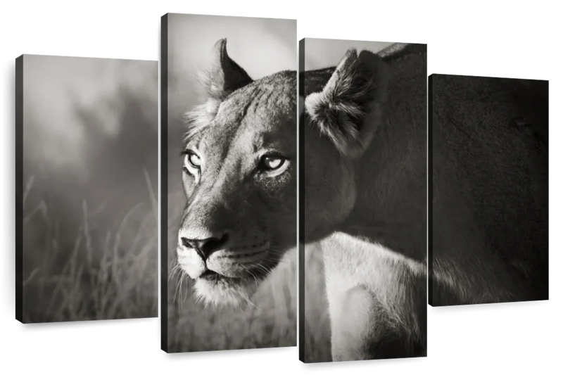 Stalking Lioness Wall Art