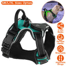GBruno Light Up Dog Harness by GBruno Store