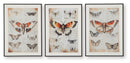 Jossletts - Wall Art Set (Set of 3) - Orange / Black / Ivory