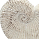 11.5x6.7x7.7" Sand and Cement Nautilus Shell Planter with Textured Beige Finish by HouseOfZazla