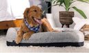 BedGear Performance Pet Bed, Small by HouseOfZazla