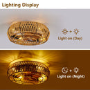 19" Caged Ceiling Fan with Lights and Remote by HouseOfZazla