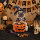 Halloween French Bulldog Witch Puppy Figurine