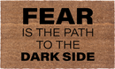 Fear Is The Path To The Dark Side