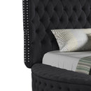 Hazel - Queen Size Tufted Storage Bed & Bluetooth Speakers, USB Port - Black