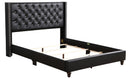 Upholstered Nailhead Trim Chic Bed by HouseOfZazla