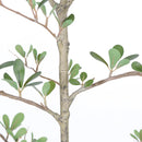6ft Artificial Olive Tree, Realistic Faux Potted Plant by HouseOfZazla