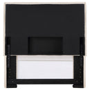 Izzy Upholstered Twin Panel Headboard Sand