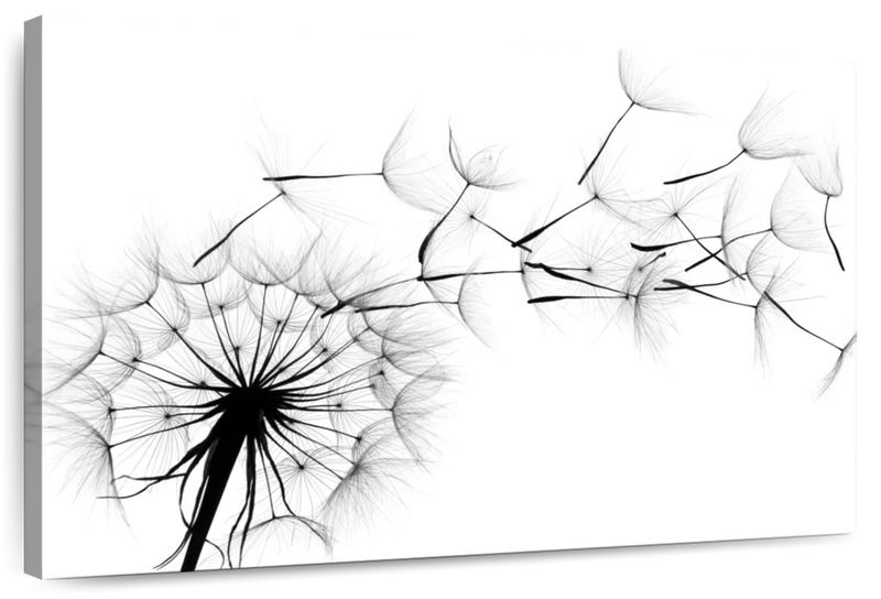 Flying Dandelion Wall Art