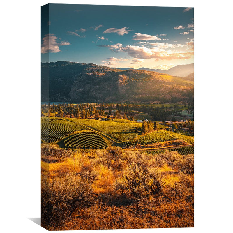 Fields of Gold Canvas