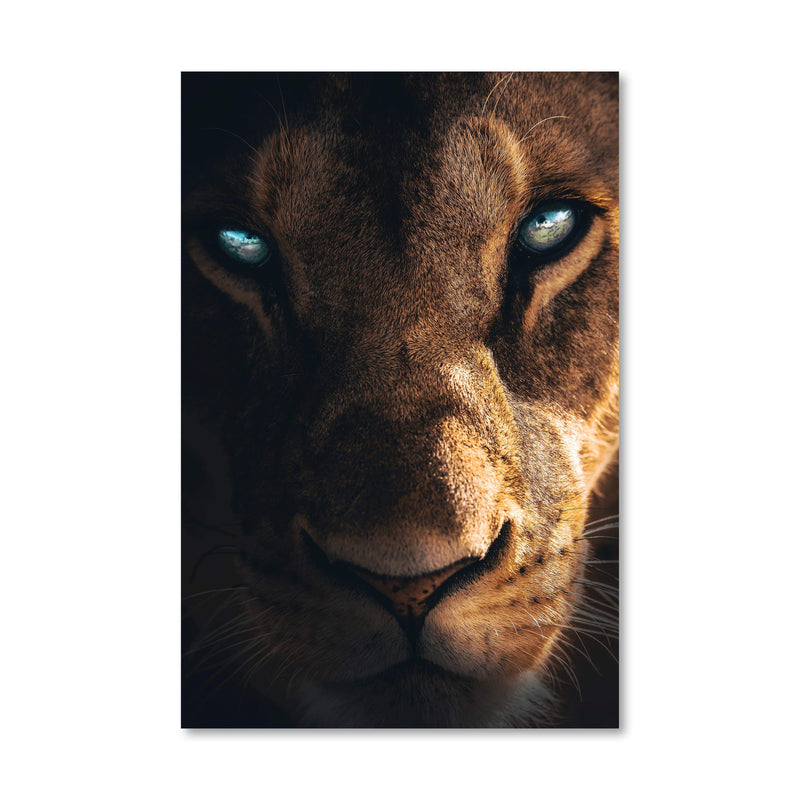 Fierce Lioness Canvas