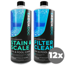 Spa Filter Clean & Stain and Scale Combo by AquaDoc