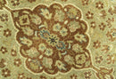 Fine Antique Knotted Traditional Tabriz Brown And Beige Wool Area Rug