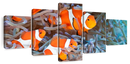 Clown Fish Wall Art