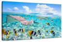 Bora Bora Sea Life Wall Art