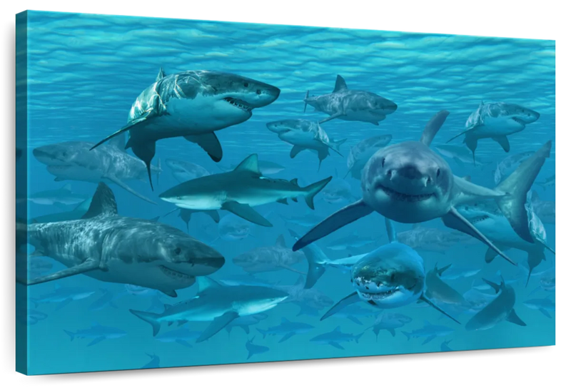 Shiver Of Sharks Wall Art