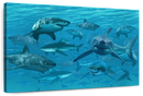 Shiver Of Sharks Wall Art