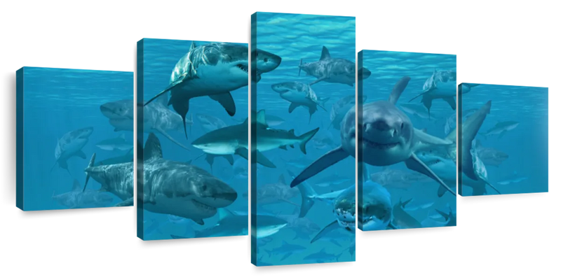 Shiver Of Sharks Wall Art