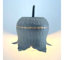 Lotus Farmhouse Wall Sconce Light