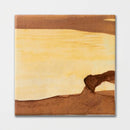 Flame Flower Matte Ceramic Tiles 6x6