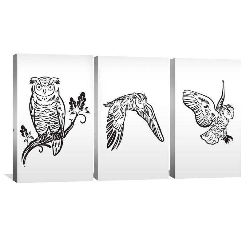 Flight of the Owls Canvas