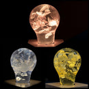 EP LIGHT - 3-Pack Flower Bulbs by EP Designlab LLC