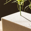 Flower Mud Dry Flower Foam Brick Set of 3