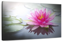 Beaming Pink Lotus Wall Art