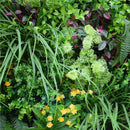 Country Fern Artificial Vertical Garden Green Wall Panel 40×40in 11 SQ FT – UV Resistant – Commercial Grade by Designer Plants USA