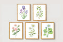 Watercolor Florals Art Print, Framed (12" x 16")
