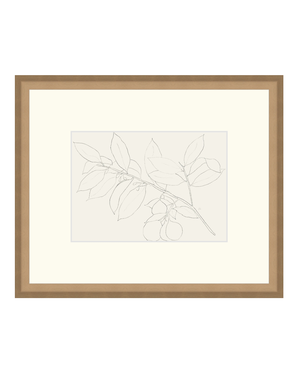 Lemon Branch Drawing, photo 30 of 42