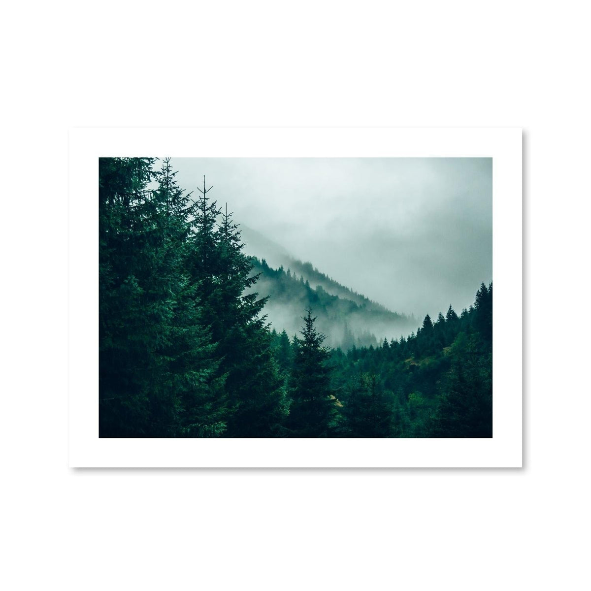 Foggy Forest Print, photo 3 of 6