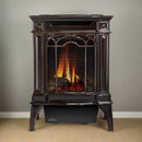 Napoleon Arlington 20 19-Inch Cast Iron Millivolt Ignition Majolica Brown Natural Gas Stove [GDS20NNSB] (SAK43798)