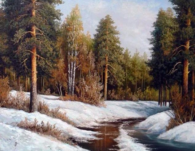 Forest In Winter