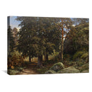 Forest Interior Canvas