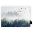 Forest Landscape Desktop Canvas