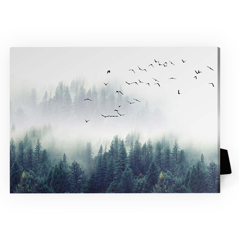 Forest Landscape Desktop Canvas