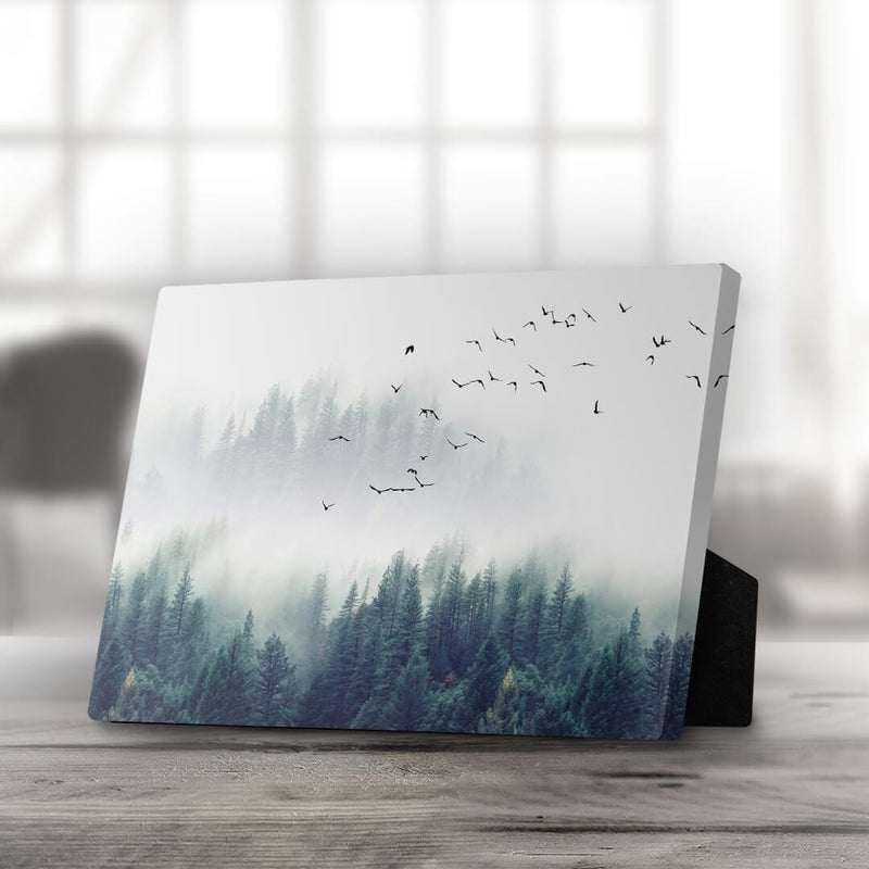 Forest Landscape Desktop Canvas