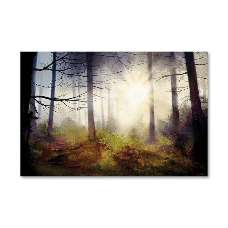 Forest Rays Canvas