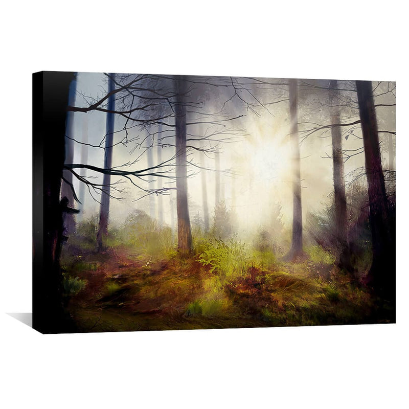 Forest Rays Canvas